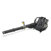Laubblaeser LBB 1060 36 Bp Pack